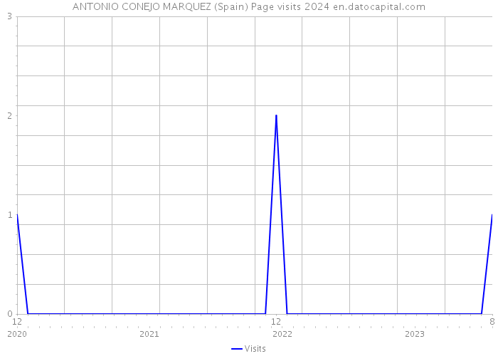 ANTONIO CONEJO MARQUEZ (Spain) Page visits 2024 