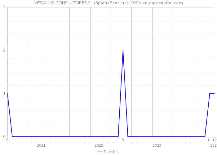 VESALIUS CONSULTORES SL (Spain) Searches 2024 