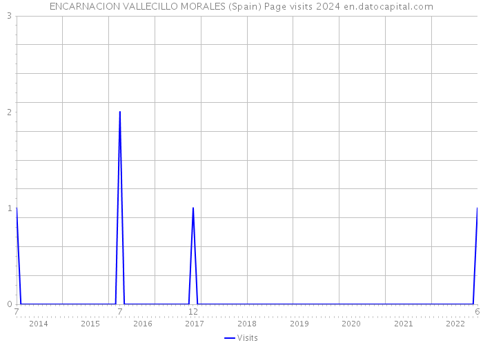 ENCARNACION VALLECILLO MORALES (Spain) Page visits 2024 