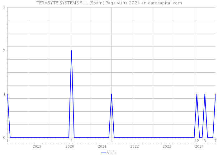 TERABYTE SYSTEMS SLL. (Spain) Page visits 2024 