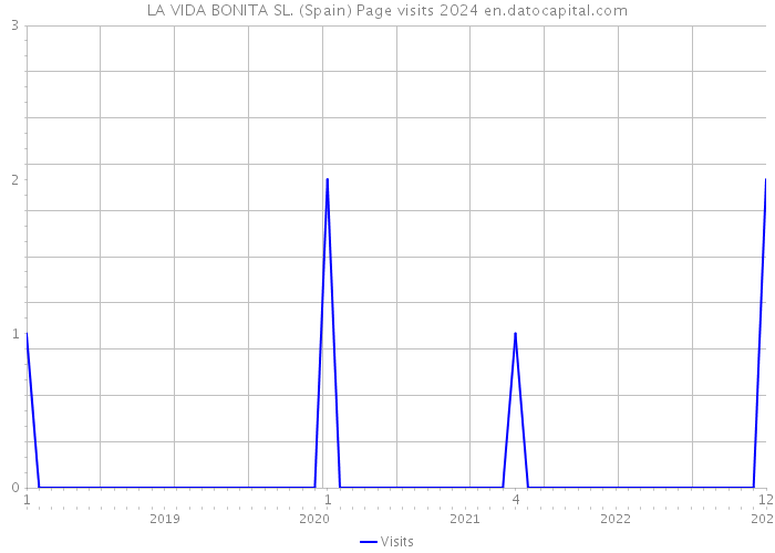 LA VIDA BONITA SL. (Spain) Page visits 2024 
