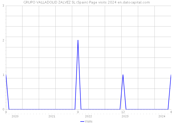 GRUPO VALLADOLID ZALVEZ SL (Spain) Page visits 2024 