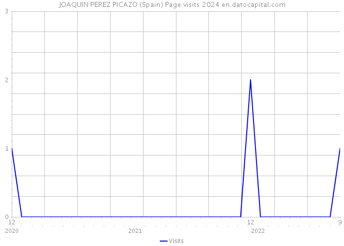 JOAQUIN PEREZ PICAZO (Spain) Page visits 2024 