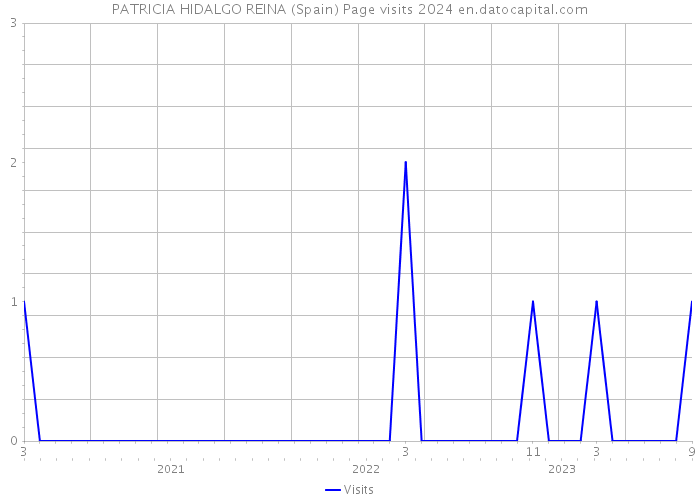 PATRICIA HIDALGO REINA (Spain) Page visits 2024 