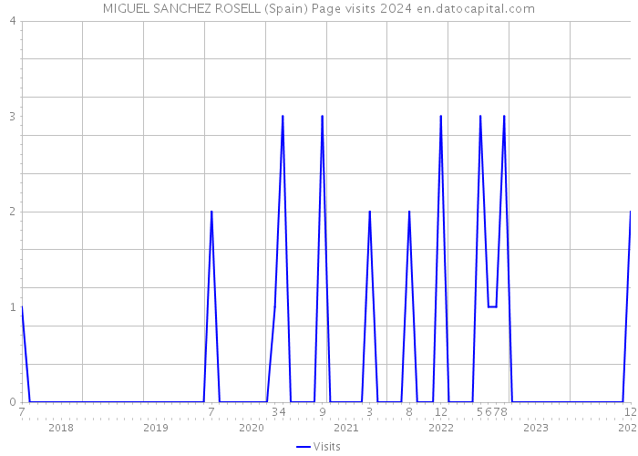 MIGUEL SANCHEZ ROSELL (Spain) Page visits 2024 