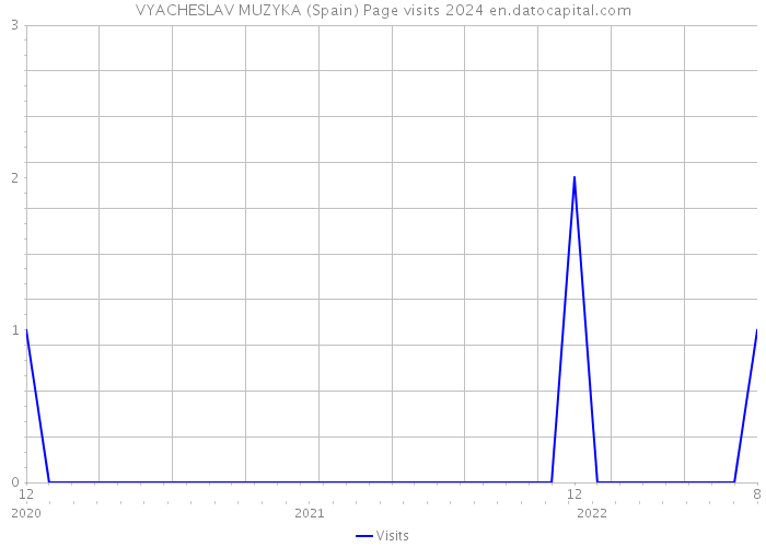 VYACHESLAV MUZYKA (Spain) Page visits 2024 