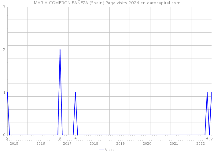 MARIA COMERON BAÑEZA (Spain) Page visits 2024 