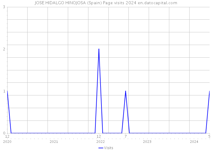 JOSE HIDALGO HINOJOSA (Spain) Page visits 2024 