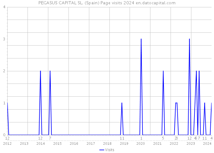 PEGASUS CAPITAL SL. (Spain) Page visits 2024 
