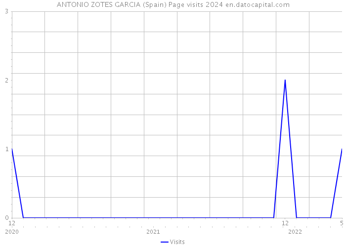 ANTONIO ZOTES GARCIA (Spain) Page visits 2024 