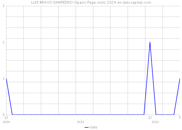 LUIS BRAVO SAMPEDRO (Spain) Page visits 2024 