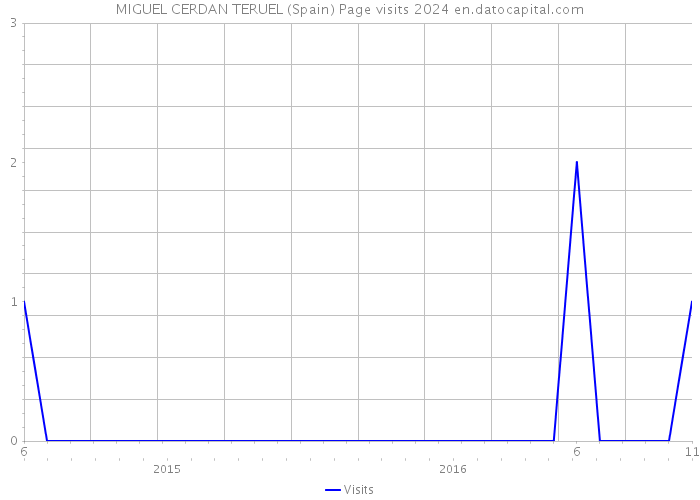 MIGUEL CERDAN TERUEL (Spain) Page visits 2024 