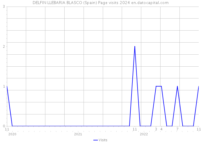 DELFIN LLEBARIA BLASCO (Spain) Page visits 2024 