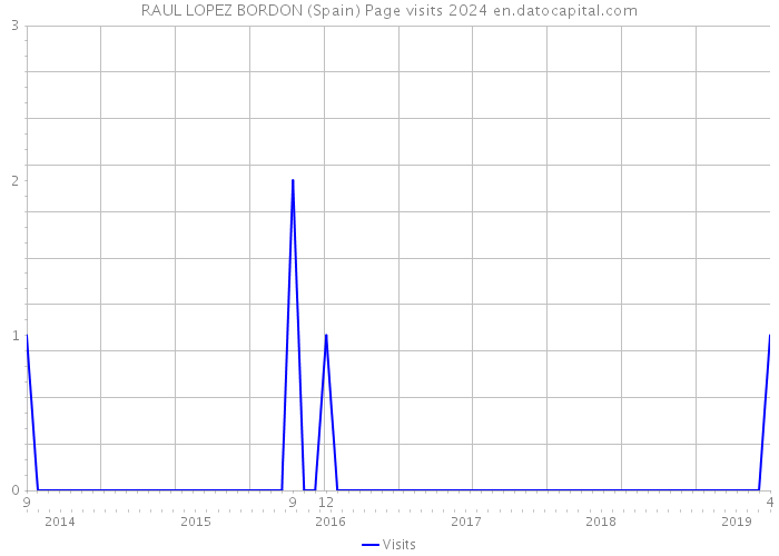 RAUL LOPEZ BORDON (Spain) Page visits 2024 