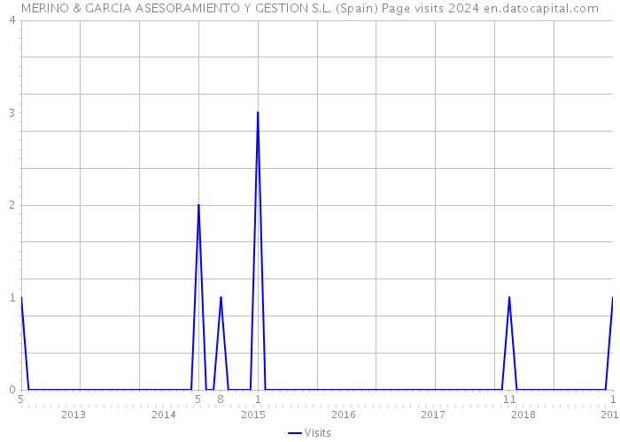 MERINO & GARCIA ASESORAMIENTO Y GESTION S.L. (Spain) Page visits 2024 