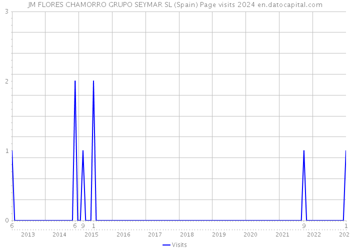 JM FLORES CHAMORRO GRUPO SEYMAR SL (Spain) Page visits 2024 