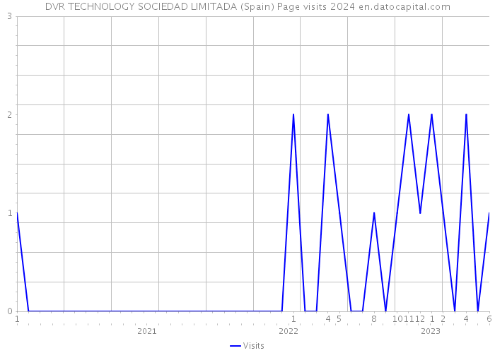 DVR TECHNOLOGY SOCIEDAD LIMITADA (Spain) Page visits 2024 