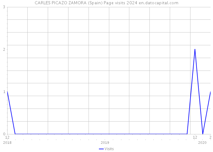 CARLES PICAZO ZAMORA (Spain) Page visits 2024 