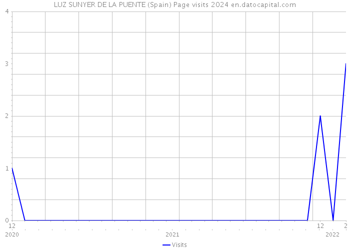 LUZ SUNYER DE LA PUENTE (Spain) Page visits 2024 