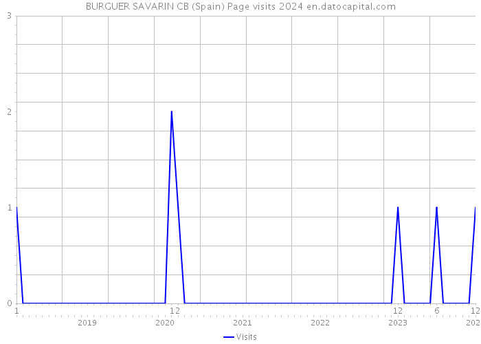 BURGUER SAVARIN CB (Spain) Page visits 2024 