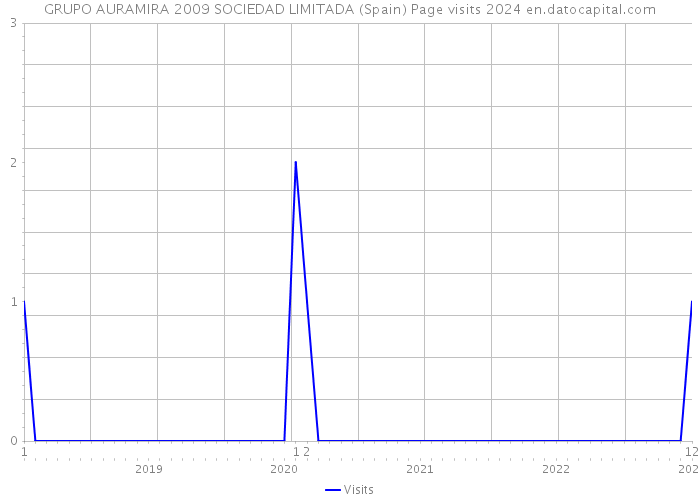 GRUPO AURAMIRA 2009 SOCIEDAD LIMITADA (Spain) Page visits 2024 