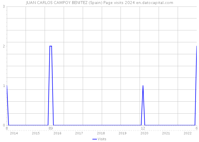 JUAN CARLOS CAMPOY BENITEZ (Spain) Page visits 2024 