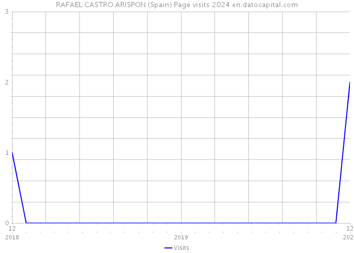 RAFAEL CASTRO ARISPON (Spain) Page visits 2024 