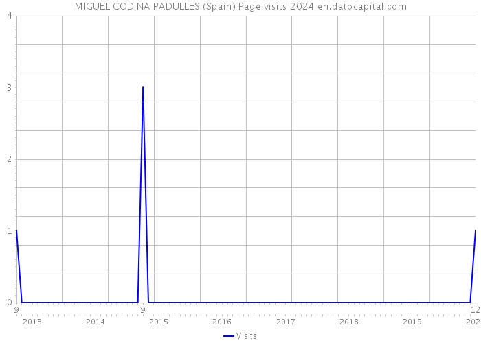 MIGUEL CODINA PADULLES (Spain) Page visits 2024 