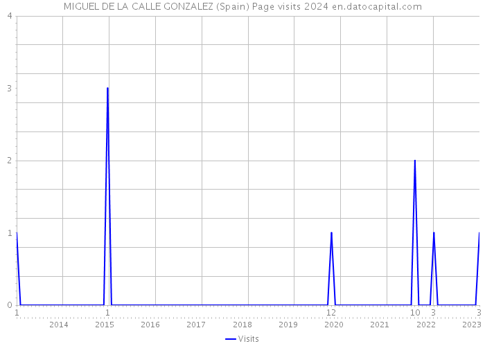MIGUEL DE LA CALLE GONZALEZ (Spain) Page visits 2024 