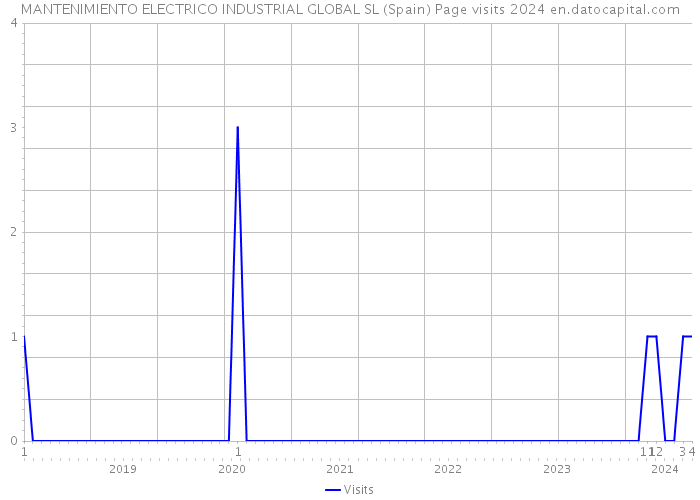 MANTENIMIENTO ELECTRICO INDUSTRIAL GLOBAL SL (Spain) Page visits 2024 