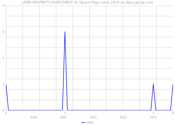 LIDER PROPERTY INVESTMENT SL (Spain) Page visits 2024 