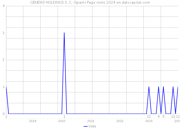 GENESIS HOLDINGS S. C. (Spain) Page visits 2024 