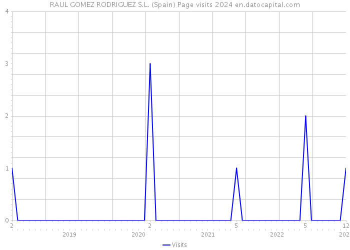 RAUL GOMEZ RODRIGUEZ S.L. (Spain) Page visits 2024 