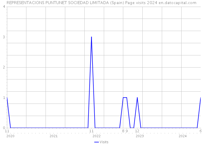 REPRESENTACIONS PUNTUNET SOCIEDAD LIMITADA (Spain) Page visits 2024 