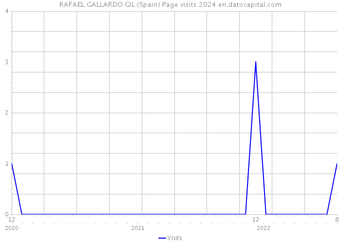 RAFAEL GALLARDO GIL (Spain) Page visits 2024 