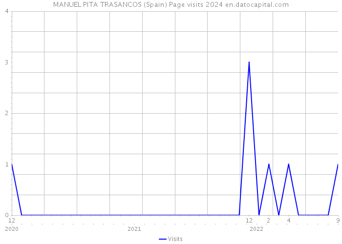 MANUEL PITA TRASANCOS (Spain) Page visits 2024 