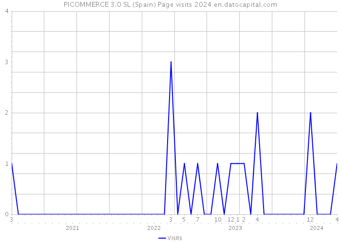 PICOMMERCE 3.0 SL (Spain) Page visits 2024 