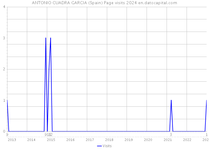 ANTONIO CUADRA GARCIA (Spain) Page visits 2024 
