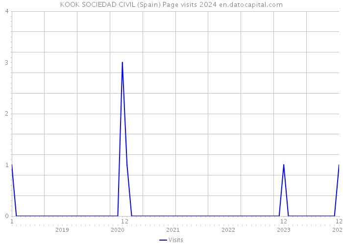 KOOK SOCIEDAD CIVIL (Spain) Page visits 2024 
