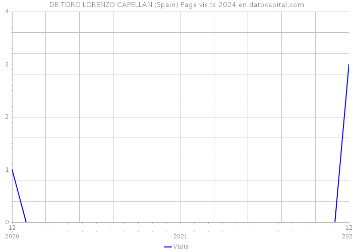 DE TORO LORENZO CAPELLAN (Spain) Page visits 2024 