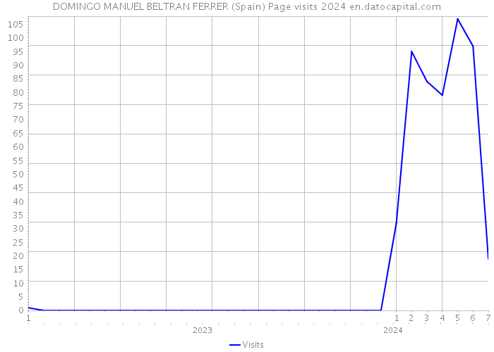 DOMINGO MANUEL BELTRAN FERRER (Spain) Page visits 2024 