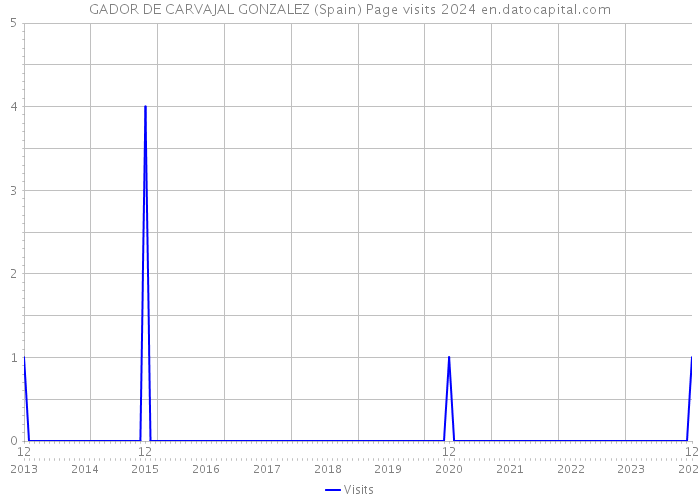 GADOR DE CARVAJAL GONZALEZ (Spain) Page visits 2024 