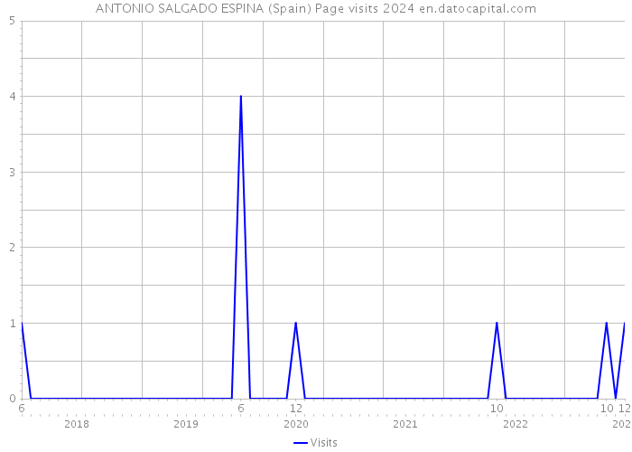 ANTONIO SALGADO ESPINA (Spain) Page visits 2024 