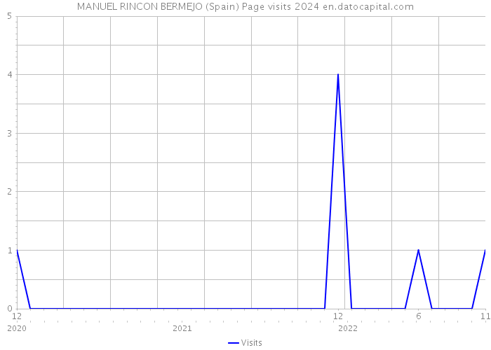 MANUEL RINCON BERMEJO (Spain) Page visits 2024 