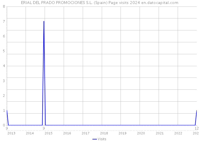 ERIAL DEL PRADO PROMOCIONES S.L. (Spain) Page visits 2024 