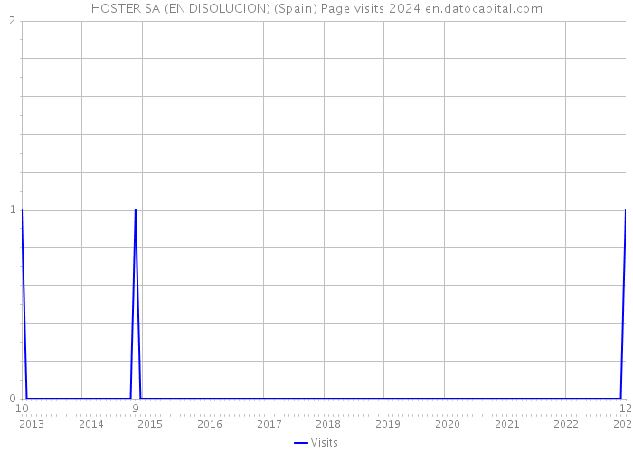 HOSTER SA (EN DISOLUCION) (Spain) Page visits 2024 