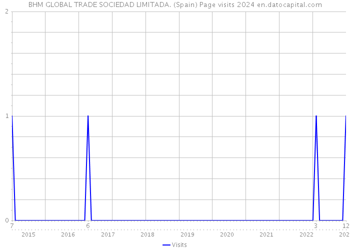 BHM GLOBAL TRADE SOCIEDAD LIMITADA. (Spain) Page visits 2024 