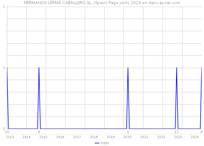 HERMANOS LERMA CABALLERO SL. (Spain) Page visits 2024 