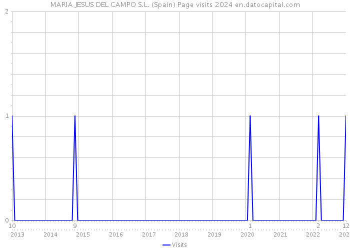 MARIA JESUS DEL CAMPO S.L. (Spain) Page visits 2024 