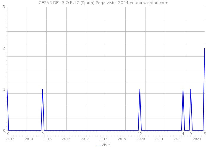 CESAR DEL RIO RUIZ (Spain) Page visits 2024 
